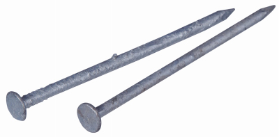 461281 2.5 in. 8D Galvanized Common Nail