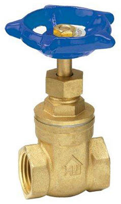 170-2-1-1 1 in. Brass Threaded Gate Valve