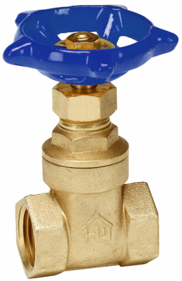 170-2-2-2 2 in. Brass Threaded Gate Valve