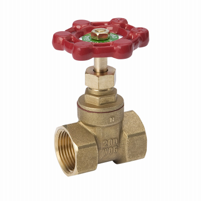 170-2-114-114 1.25 In. Brass Gate Valve