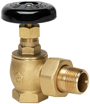 VRDAGSN6B 1.25 In. Bronze Steam Valve
