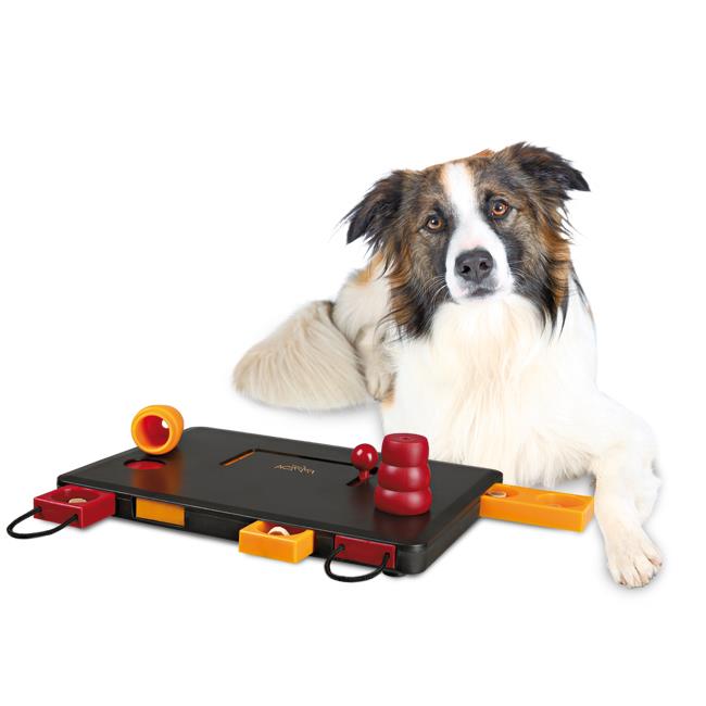 TRIXIE Pet Products 32025 Dog Activity Move-2-Win - Level 3