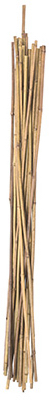 89783 3 ft. Natural Bamboo Stake - 24 Pack