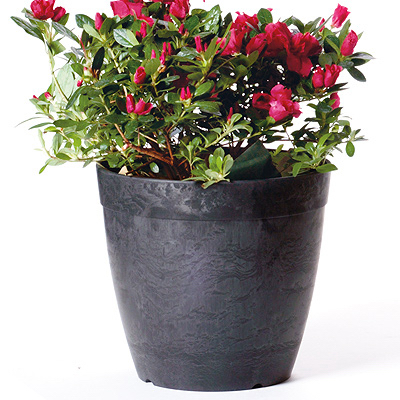 03108.05 10 in. Dolce Planter, Black, Round