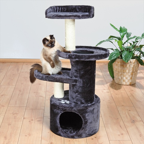 Picture of TRIXIE Pet Products 43847 Oviedo Cat Tree- Dark Gray