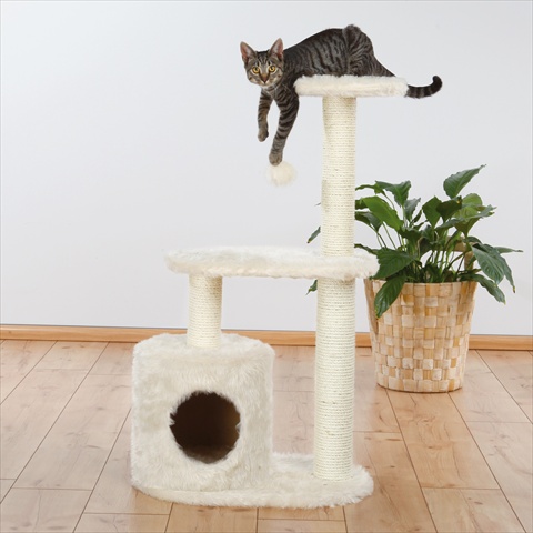 Picture of TRIXIE Pet Products 44591 Casta Cat Tree- Cream