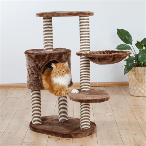 Picture of TRIXIE Pet Products 44620 Moriles Cat Tree- Brown