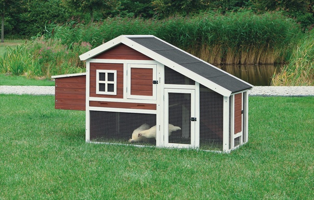 Picture of TRIXIE Pet Products 55960 Chicken Coop With A View- Brown-White