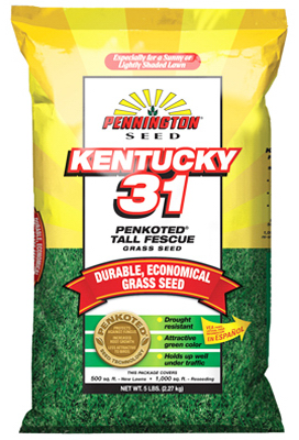100516048 3 lbs. Kentuckey 31 Tall Fescue Seed