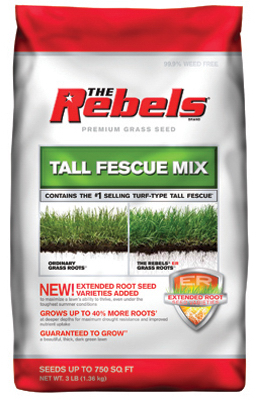 100519418 3 lbs. Rebel Tall Fescue Grass Seed