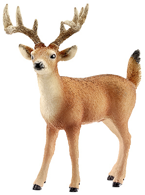 Picture of Schleich 14709 Tailed Buck Figurine&#44; Brown & White