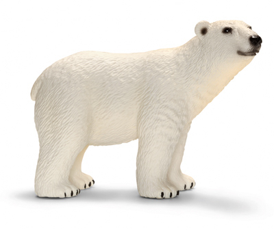 Picture of Schleich 14659 Polar Bear Figurine&#44; White