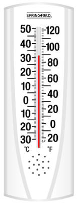 90110 Indoor & Outdoor Thermometer