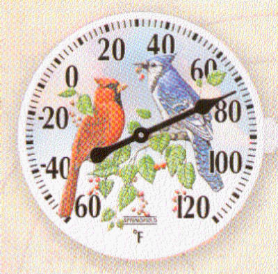 Picture of Taylor 90178 6 in. Diameter Outdoor Thermometer With Birds Inset Design