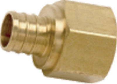 LFWP13B-1212PB 0.75 x 0.75 FPT in. Adapter, 5 Pack