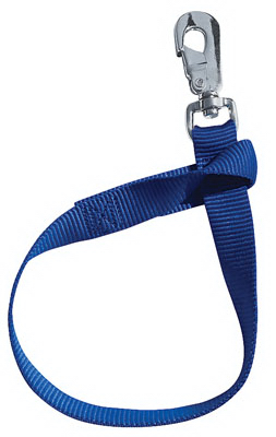 Picture of Weaver Leather 35-7065-BL 1 x 22 in. Blue Bucket Strap