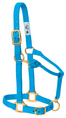 Picture of Weaver Leather 35-7035-HB 1 in. Average Chin & Throat Snap Halter - Blue