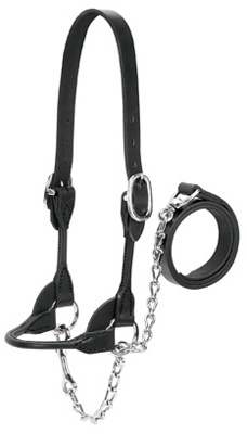 Picture of Weaver Leather 90-0510 Bridle Leather Show Halter - Medium&#44; Black