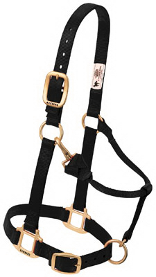 Picture of Weaver Leather 35-1032-BK 0.75 in. Pony Original Adjustable Chin & Throat Snap Halter - Black