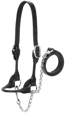 Picture of Weaver Leather 90-0520 Round Bridle Leather Halter&#44; Large