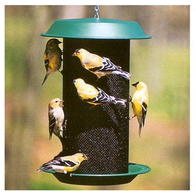 Picture of Woodlink NAMAG2 Plastic Magnum  Thistle Magnum Bird Feeder- Hunter Green