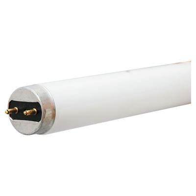 17705 18W T8 Fluorescent Light Bulb - Cool White - Pack Of 6