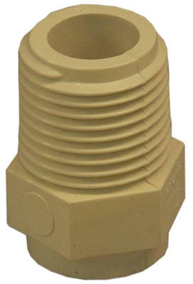 50405 0.5 in. CPVC Male Pipe Thread Adapter - Pack Of 20