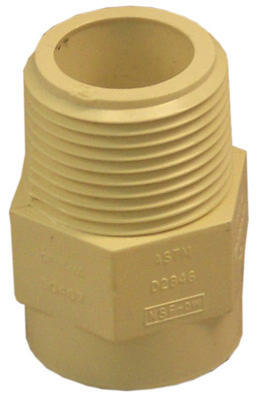 50407 0.75 in. CPVC Male Pipe Thread Adapter