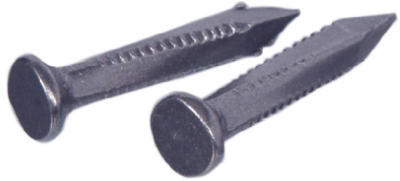 461809 2 in. Square Shank Concrete Screws Nail - Pack Of 5