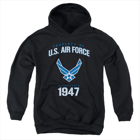 Picture of Air Force-Property Of - Youth Pull-Over Hoodie- Black - Extra Large