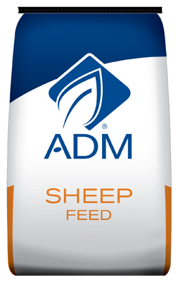 Picture of ADM Alliance Nutrition 80910BGXE4 50 lbs. Lamb Grow Feed