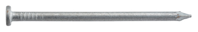 461291 3.5 in. x 16D Galvanized Common Nails