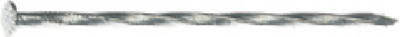 10192 50 lbs. 16D Galvanized Spiral Thread Deck Nail
