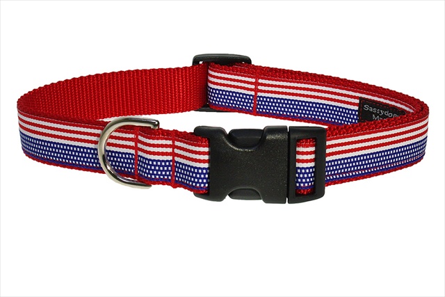 Picture of Sassy Dog Wear AMERICAN FLAG2-C American Flag Dog Collar - Small
