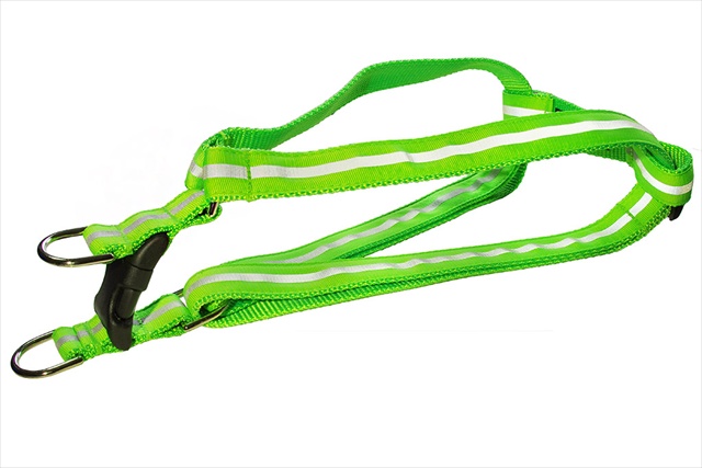Picture of Sassy Dog Wear REFLECTIVE - GREEN1-H Reflective Dog Harness&#44; Green - Small