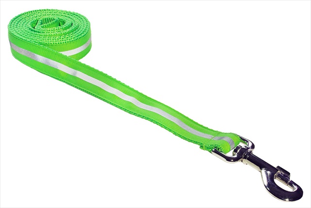 Picture of Sassy Dog Wear REFLECTIVE - GREEN1-L 4 ft. Reflective Dog Leash- Green - Small