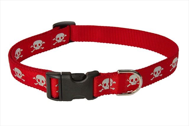 Picture of Sassy Dog Wear REFLECTIVE SKULL-RED2-C Reflective Skull Dog Collar- Red - Small