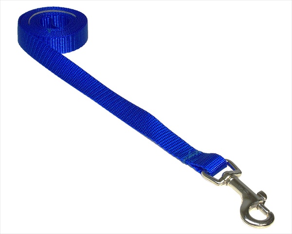 Picture of Sassy Dog Wear SOLID BLUE XS-L 4 ft. Nylon Webbing Dog Leash- Blue - Extra Small