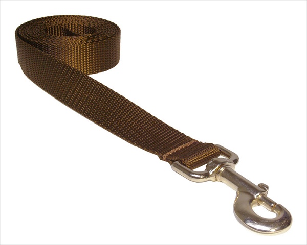 Picture of Sassy Dog Wear SOLID BROWN LG-L 6 ft. Nylon Webbing Dog Leash- Brown - Large