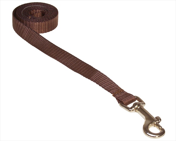 Picture of Sassy Dog Wear SOLID BROWN XS-L 4 ft. Nylon Webbing Dog Leash- Brown - Extra Small