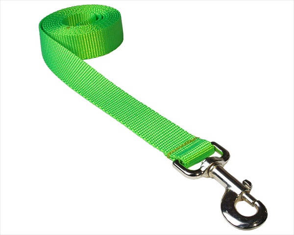 Picture of Sassy Dog Wear SOLID NEON GREEN MED-L 6 ft. Nylon Webbing Dog Leash- Neon Green - Medium