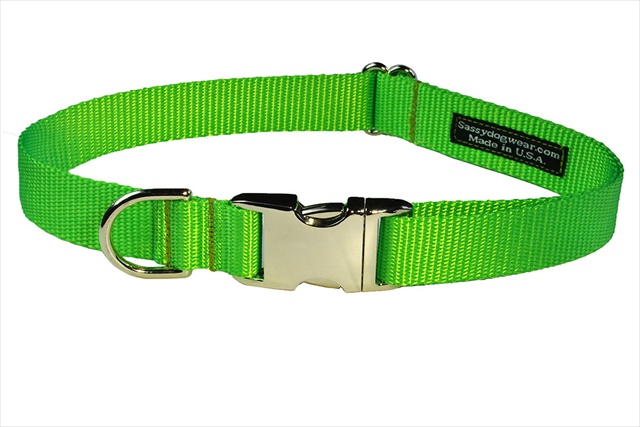 Sassy Dog Wear SOLID NEON GREEN-METAL BUCKLE LG-C