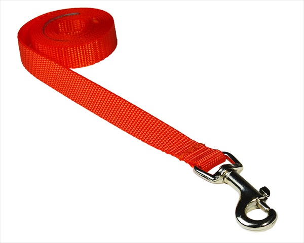 Picture of Sassy Dog Wear SOLID NEON ORANGE XS-L 4 ft. Nylon Webbing Dog Leash- Neon Orange - Extra Small