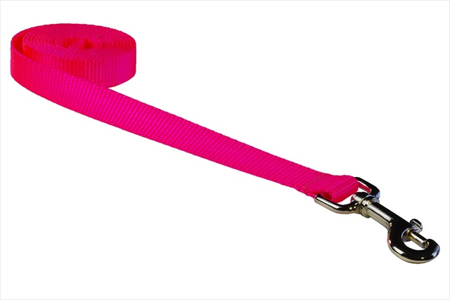Picture of Sassy Dog Wear SOLID NEON PINK MED-L 6 ft. Nylon Webbing Dog Leash- Neon Pink - Medium