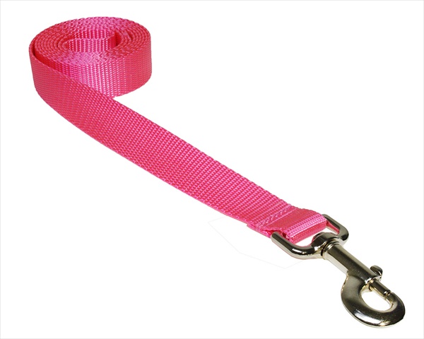 Picture of Sassy Dog Wear SOLID PINK MED-L 6 ft. Nylon Webbing Dog Leash- Pink - Medium