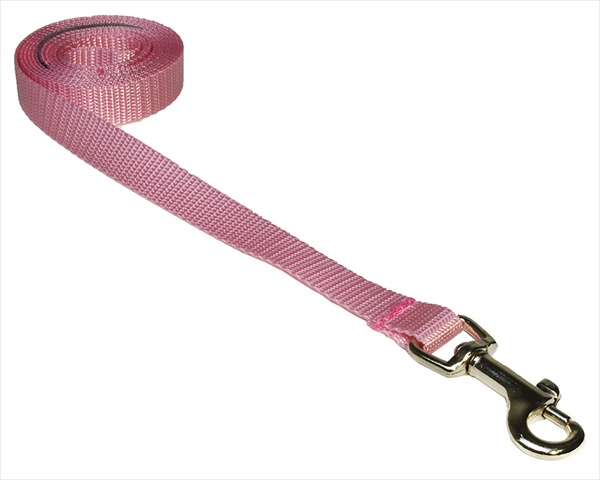 Picture of Sassy Dog Wear SOLID PINK XS-L 4 ft. Nylon Webbing Dog Leash- Pink - Extra Small