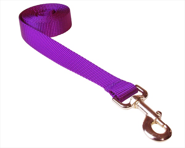 Picture of Sassy Dog Wear SOLID PURPLE LG-L 6 ft. Nylon Webbing Dog Leash- Purple - Large