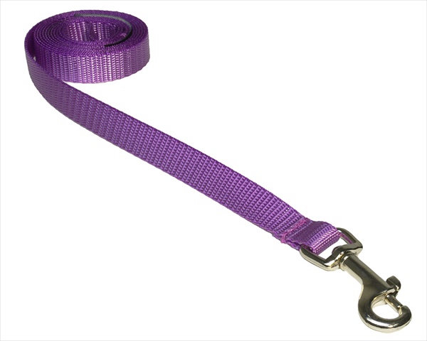 Picture of Sassy Dog Wear SOLID PURPLE XS-L 4 ft. Nylon Webbing Dog Leash- Purple - Extra Small