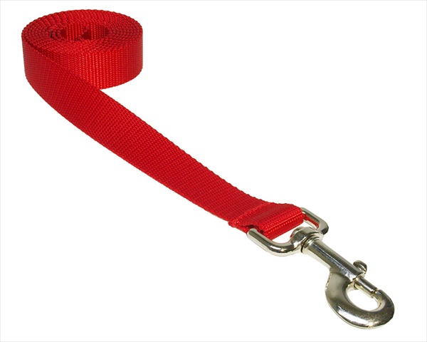 Picture of Sassy Dog Wear SOLID RED MED-L 6 ft. Nylon Webbing Dog Leash- Red - Medium