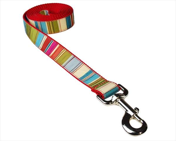 Picture of Sassy Dog Wear STRIPE-RED-MULTI2-L 4 ft. Multi Stripe Dog Leash- Red - Small